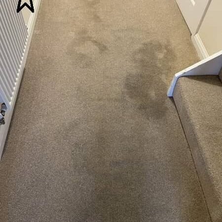 Cómo limpiar una alfombra muy sucia