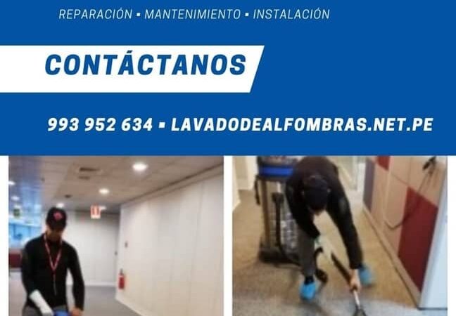LAVADO DE ALFOMBRAS PARA HOGARES