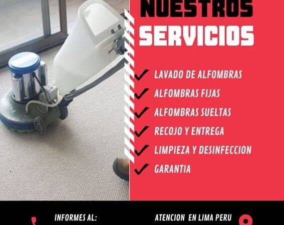 Lavado de Alfombras a Domicilio Precio
